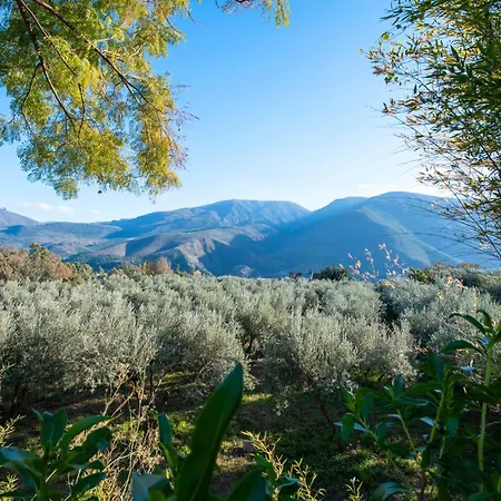 Cortijo Cabra Montes Holiday home Orgiva